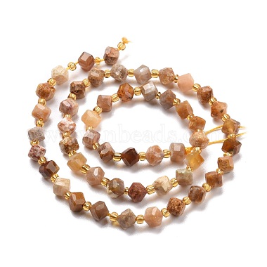 Natural Fossil Coral Beads Strands(G-P463-48)-3