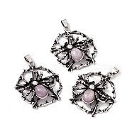 Natural Kunzite Pendants, Flat Round with Spider Charms, with Antique Silver Color Brass Findings, 37~38x34~35x9mm, Hole: 5x4mm(KK-A173-03AS-06)