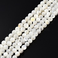Natural White Shell Bead Strands, Round, 3~3.5mm, Hole: 0.8mm, about 123~124pcs/strand, 14.76 inch~14.88 inch(37.5~37.8cm)(SSHEL-N003-144C-01)