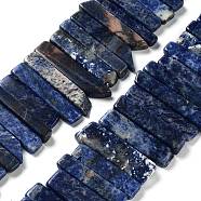 Natural Sodalite Beads Strands, Top Drilled Beads, Rectangle, 24~62x8~14x4~9mm, Hole: 1.8mm, about 34~39pcs/strand, 15.04''~15.51''(38.2~39.4cm)(G-L551B-16)
