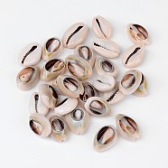 Natural Cowrie Shell Beads, No Hole/Undrilled, Seashell Color, 18~22.5x13~17x6~8mm, about 340pcs/500g(BSHE-S053)