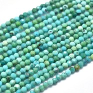 Natural HuBei Turquoise Beads Strands, Faceted, Round, 2mm, Hole: 0.3mm, about 197pcs/strand, 15.16 inch(38.5cm)(G-M353-A17-2mm)