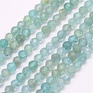 Natural Apatite Beads Strands, Faceted, Round, 3mm, Hole: 0.5mm, about 132pcs/strand, 15.5 inch(39.5cm)(G-I156-05-3mm)