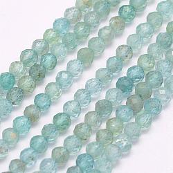 Natural Apatite Beads Strands, Faceted, Round, 3mm, Hole: 0.5mm, about 132pcs/strand, 15.5 inch(39.5cm)(G-I156-05-3mm)