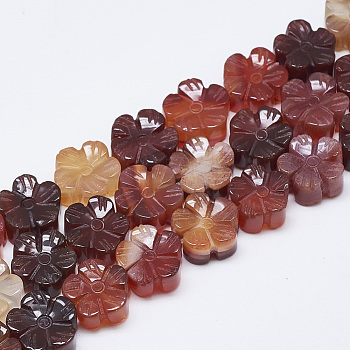 Carved Natural Carnelian Beads Strands, Plum Blossom, 13~14x13~14x7~8mm, Hole: 1mm, about 16pcs/strand, 8.2 inch~8.6 inch