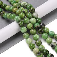 Natural Serpentine Bead Strands, Round, 12mm, Hole: 1.4mm, about 34pcs/strand, 16.14''(41cm)(G-N166-26)