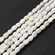 Natural Freshwater Shell Beads Strand, Oval, Seashell Color, 4x3mm, Hole: 0.9mm, about 96~98pcs/strand, 15.24~15.43''(38.7~39.2cm)(BSHE-E026-16B)