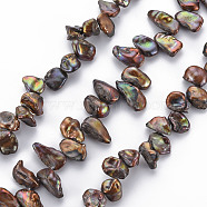 Natural Keshi Pearl Beads Strands, Cultured Freshwater Pearl, Dyed, Nuggets, Saddle Brown, 8~22x5~10x3~8mm, Hole: 0.5mm, about 53~71pcs/strand, 14.96 inch(38cm)(X-PEAR-S021-022A)