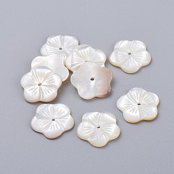 Natural White Shell Beads, Mother of Pearl Shell Beads, Flower, 14~14.5x1.5~2mm, Hole: 1.2mm(BSHE-K054-23)
