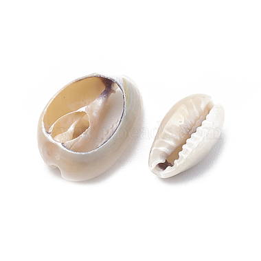 Cowrie Shell Beads(SSHEL-T004-03)-2