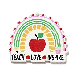Teachers' Day Resin Pendants, Graduation Theme Charms, Rainbow, 35.8x40x2.4mm, Hole: 1.8mm(RESI-M037-04E)