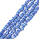 2Strands Handmade Lampwork Beads Strands(BLOW-TADJ0001-01F)-2