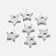 304 Stainless Steel Charms(X-STAS-F159-54P)-1