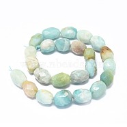Natural Amazonite Beads Strands, Faceted, Drum, 15~18x10.5~13mm, Hole: 1.4mm, about 24pcs/strand, 15.7 inch(40cm)(G-F632-18)