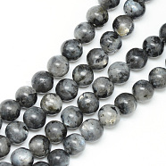 Natural Labradorite Bead Strands, Round, 8~9mm, Hole: 1mm, about 46pcs/strand, 15.3 inch(X-G-R345-8mm-33)