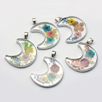 Alloy Resin Pendants, Moon, with Dried Flower inside, Platinum, Mixed Color, 36x28.5~29x4mm, Hole: 4.5x5mm