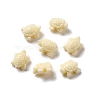 Opaque Resin Beads, Tortoise, Pale Goldenrod, 9.5x8x4.5mm, Hole: 1mm(RESI-H157-01B)