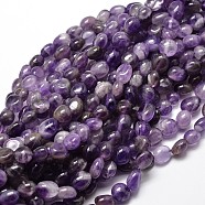Natural Amethyst Nuggets Beads Strands, Tumbled Stone, 5~10x6~7x3~7mm, hole: 1mm, about 14.9 inch~15.7 inch(G-J335-08)