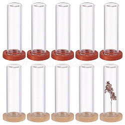 Nbeads 10Pcs 2 Colos Glass Dome Cover, Decorative Display Case, Cloche Bell Jar Terrarium with Wooden Base, Mixed Color, 40x12mm, 5pcs/color(BOTT-NB0001-18)