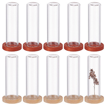 10Pcs 2 Colos Glass Dome Cover, Decorative Display Case, Cloche Bell Jar Terrarium with Wooden Base, Mixed Color, 40x12mm, 5pcs/color