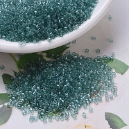 MIYUKI Delica Beads, Cylinder, Japanese Seed Beads, 11/0, (DB0112) Transparent Sea Foam Luster, 1.3x1.6mm, Hole: 0.8mm, about 2000pcs/10g(X-SEED-J020-DB0112)