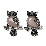 Natural Rose Quartz Pendants, Antique Silver Plated Owl Charms with Blak Glass, 45x33.5x19mm, Hole: 8x9.5mm(G-H308-01AS-02)