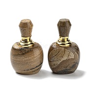 Natural Picture Jasper Bottles, with Golden 304 Stainless Steel Findings, SPA Aromatherapy Essemtial Oil Empty Bottle, 4.05x3.2x6.5cm(DJEW-K024-01G-01)