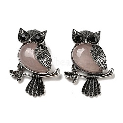 Natural Rose Quartz Pendants, Antique Silver Plated Owl Charms with Blak Glass, 45x33.5x19mm, Hole: 8x9.5mm(G-H308-01AS-02)