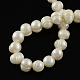Grade B Pearl Beads Strands(SPPB006Y-1)-2