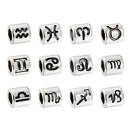 120Pcs 12 Style Alloy European Beads, Large Hole Beads, Column, Antique Silver, 12 Constellations, 7.5x7mm, Hole: 4.5mm, 10pcs/style(FIND-LS0001-12)