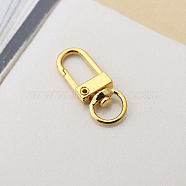 Alloy Swivel Clasps, Lanyard Push Gate Snap Clasps, Golden, 3.3x1.3x0.5cm, Hole: 10x7mm(X-PURS-PW0001-425G)