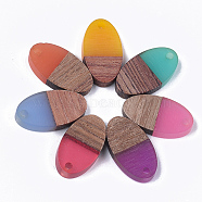 Resin & Wood Pendants, Oval, Mixed Color, 20x11x3.5mm, Hole: 1.8mm(X-RESI-S358-71)