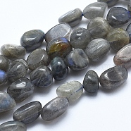 Natural Labradorite Beads Strands, Tumbled Stone, Nuggets, 8~10mm, Hole: 0.8mm, about 30~35pcs/strand, 15.7 inch(40cm)(X-G-E483-60)