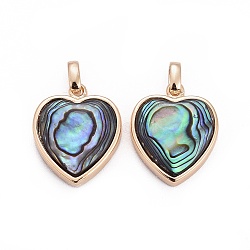 Natural Abalone Shell/Paua ShellCharms, with Brass Findings, Heart, Golden, 13x11x4.5mm, Hole: 2x3mm(X-BSHE-F011-04B-G)