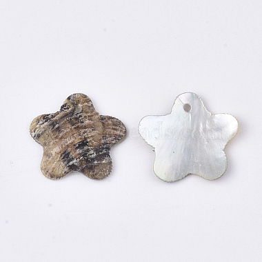 Natural Akoya Shell Pendants(SHEL-T012-39)-2