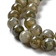 Natural Labradorite Beads Strands(G-G065-A01-01)-4