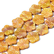 Natural Freshwater Shell Beads Strands, AB Color Plated, Dyed, Flower, Goldenrod, 12.5x13x2.5mm, Hole: 0.7mm, about 30pcs/strand, 14.25~14.76 inch(36.2~37.5cm)(SHEL-Q025-002E)