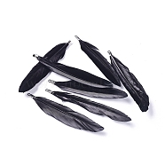 Goose Feather Pendants, Big Pendants, with Iron Findings, Platinum, Dyed, Black, 72~82x12~19mm, Hole: 1.5mm(X-FIND-Q055-P12)