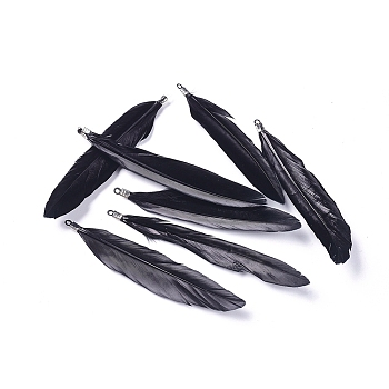 Goose Feather Pendants, Big Pendants, with Iron Findings, Platinum, Dyed, Black, 72~82x12~19mm, Hole: 1.5mm