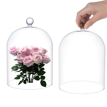 Glass Cloche Dome Covers, Cloche Bell Jar Covers, Arch, Clear, 150x230mm