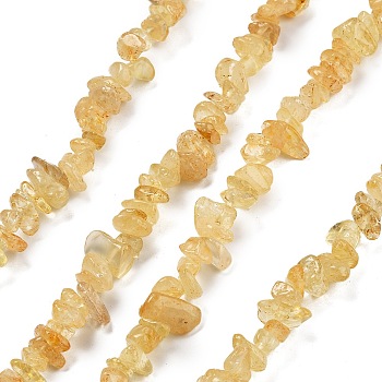 Natural Citrine Beads Strands, Chips, Dyed & Heated, 5~8x5~8mm, Hole: 1mm, about 31.5 inch