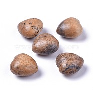 Natural Picture Jasper Heart Love Stone, Pocket Palm Stone for Reiki Balancing, 20x20x13~13.5mm(G-F659-B15)