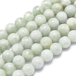 Natural Myanmar Jade/Burmese Jade Beads Strands, Round, 8mm, Hole: 1mm, about 49pcs/Strand, 15.75 inch(40cm)(G-D0001-09-8mm)
