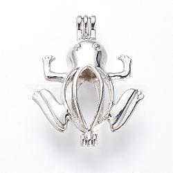 Hollow Brass Locket Pendants, Cage Pendants, Frog, Platinum, 33.5x26x9mm, Hole: 3x3.5mm, inner measure: 21x10mm(KK-S315-07P)