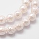 Chapelets de perles en coquille(BSHE-L029-01-6mm)-3