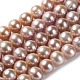 perles de nacre naturelle brins(PEAR-E018-21)-1