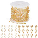 DIY Chain Necklaces Making Kits, Including Brass Star Link Chains, 304 Stainless Steel Lobster Claw Clasps & Open Jump Rings, Real 18K Gold Plated(DIY-SC0020-79)