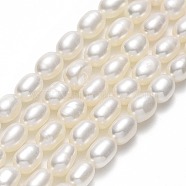 Natural Cultured Freshwater Pearl Beads Strands, Rice, Linen, 7~8.5x5~5.5mm, Hole: 0.5mm, about 52pcs/strand, 15.35''(39cm)(PEAR-J006-17C-01)