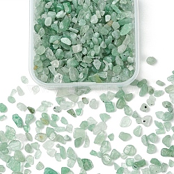 50G Natural Aventurine Chip Beads, No Hole/Undrilled, 2~8x2~4mm(G-YW0001-82)