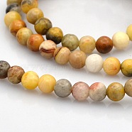 Natural Crazy Lace Agate Round Beads Strands, 4mm, Hole: 1mm, about 102pcs/strand, 15.7 inch(G-N0120-16-4mm)